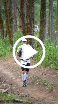 BIB:  <button type="button" onclick="openModal(27292908)" class="btn btn-primary btn-sm float-right" data-toggle="modal" data-target=".modal-high-quality">
                <i class="fa fa-download"></i> Download
                </button>